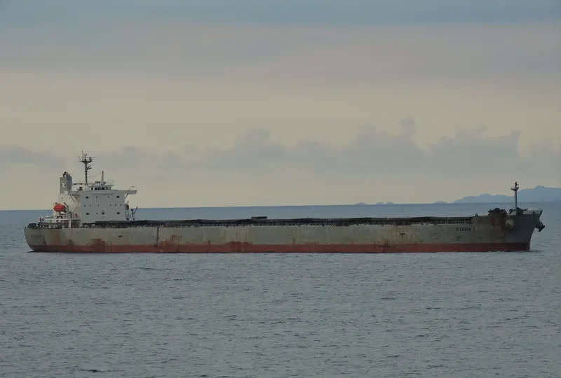 LASKARO S Bulk Carrier IMO 9316050 photo 9