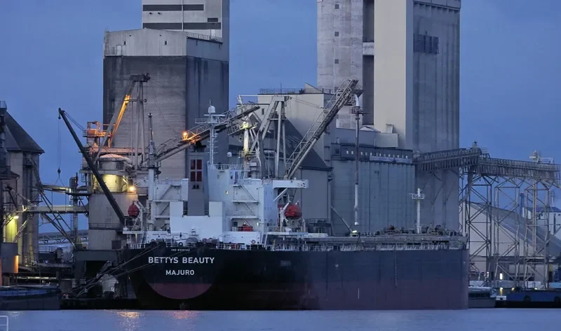 BETTYS BEAUTY Bulk Carrier IMO 9316062