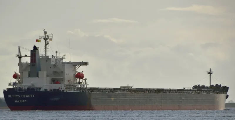 BETTYS BEAUTY Bulk Carrier IMO 9316062 photo 2