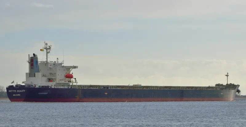 BETTYS BEAUTY Bulk Carrier IMO 9316062 photo 3