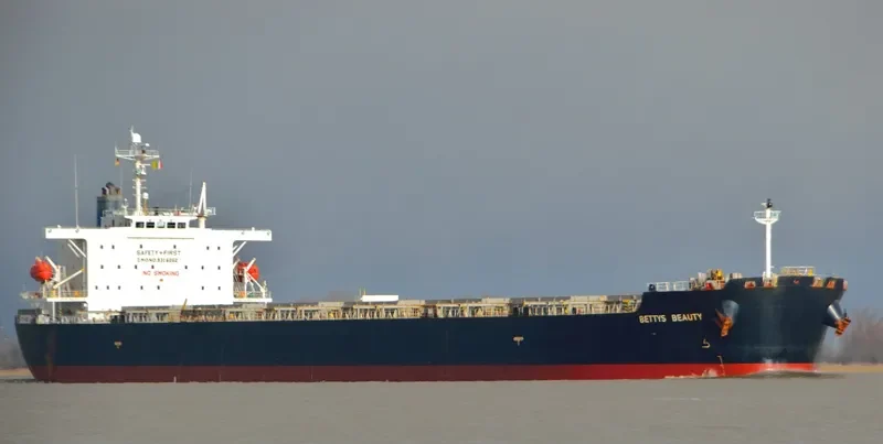 BETTYS BEAUTY Bulk Carrier IMO 9316062 photo 4