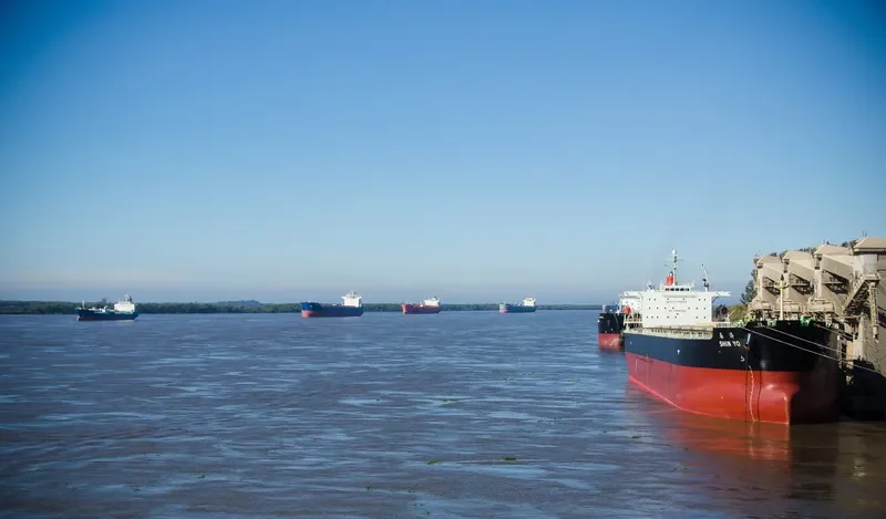 BETTYS BEAUTY Bulk Carrier IMO 9316062 photo 5