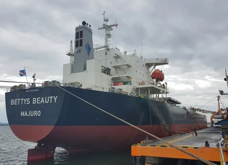 BETTYS BEAUTY Bulk Carrier IMO 9316062 photo 6