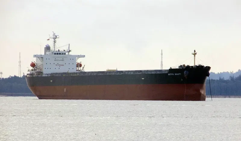 BETTYS BEAUTY Bulk Carrier IMO 9316062 photo 7