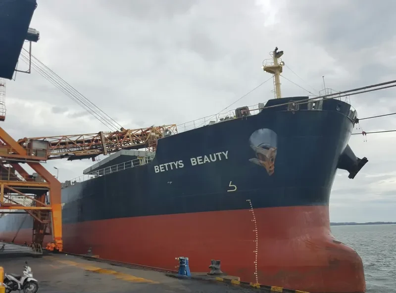 BETTYS BEAUTY Bulk Carrier IMO 9316062 photo 8
