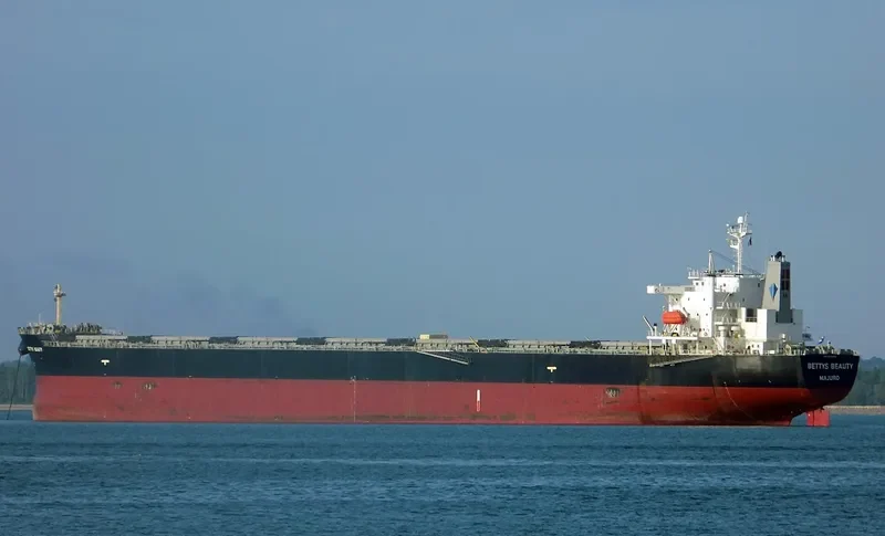 BETTYS BEAUTY Bulk Carrier IMO 9316062 photo 9