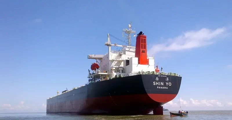 BETTYS BEAUTY Bulk Carrier IMO 9316062 photo 10