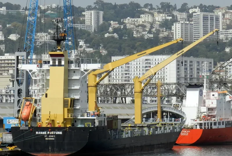SONATA Container Ship IMO 9316103 photo 3