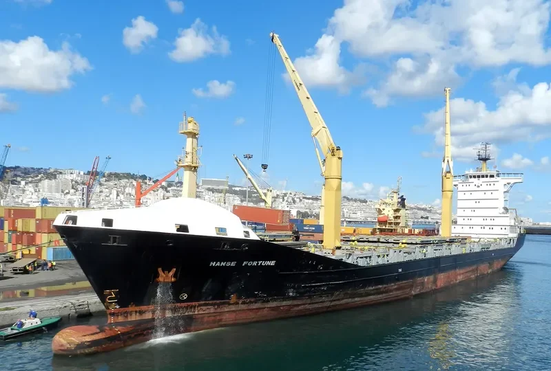SONATA Container Ship IMO 9316103 photo 5