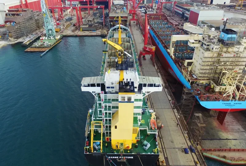 SONATA Container Ship IMO 9316103 photo 9