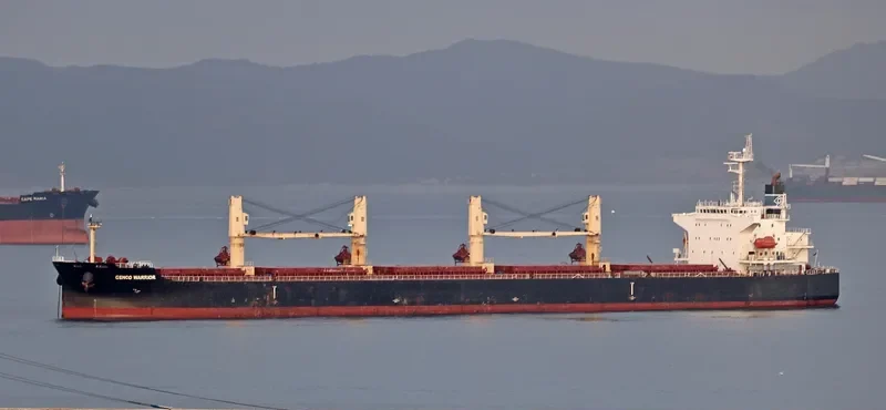 GENCO WARRIOR Bulk Carrier IMO 9316153