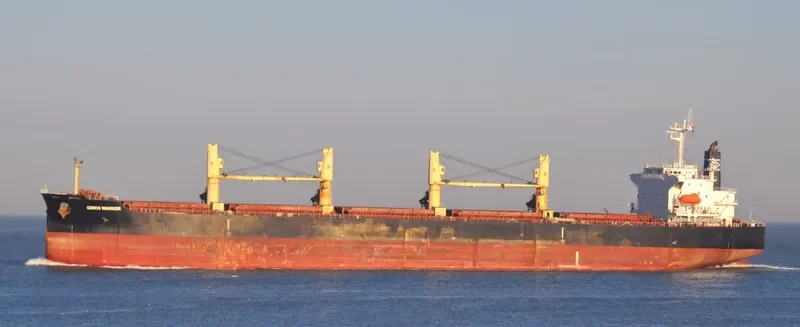 GENCO WARRIOR Bulk Carrier IMO 9316153 photo 8