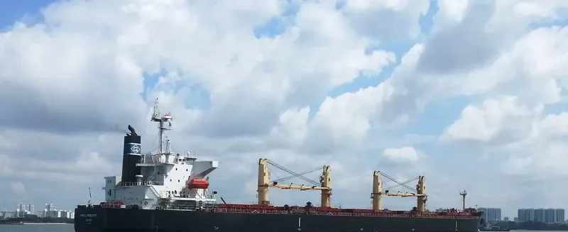 GENCO PREDATOR Bulk Carrier IMO 9316165 photo 3