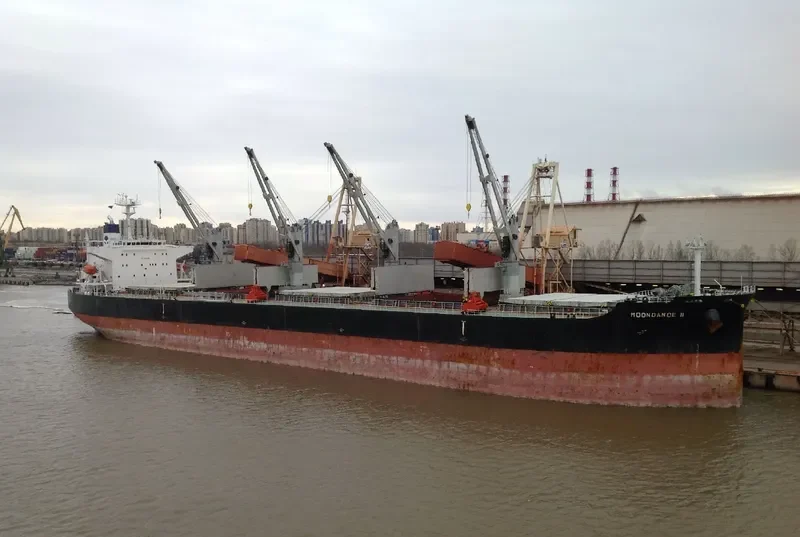 MOONDANCE II Bulk Carrier IMO 9316191 photo 3