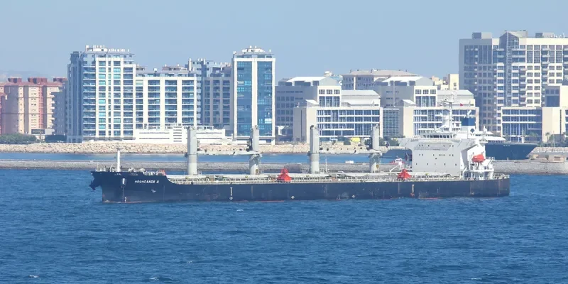MOONDANCE II Bulk Carrier IMO 9316191 photo 6