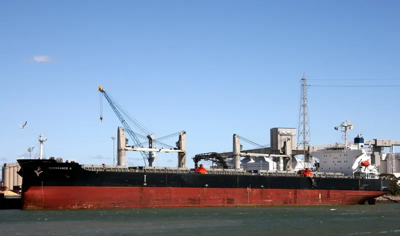 MOONDANCE II Bulk Carrier IMO 9316191 photo 8