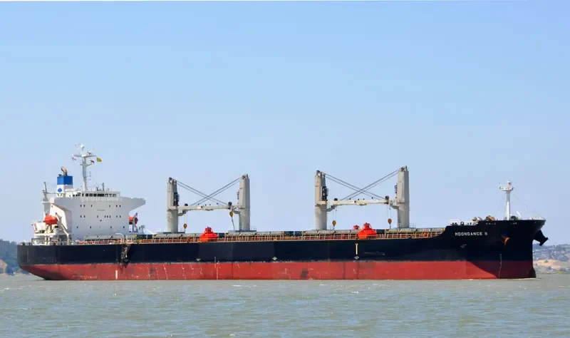 MOONDANCE II Bulk Carrier IMO 9316191 photo 9