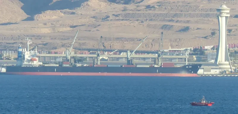 JIN HANG FU ZHAN Bulk Carrier IMO 9316218 photo 4