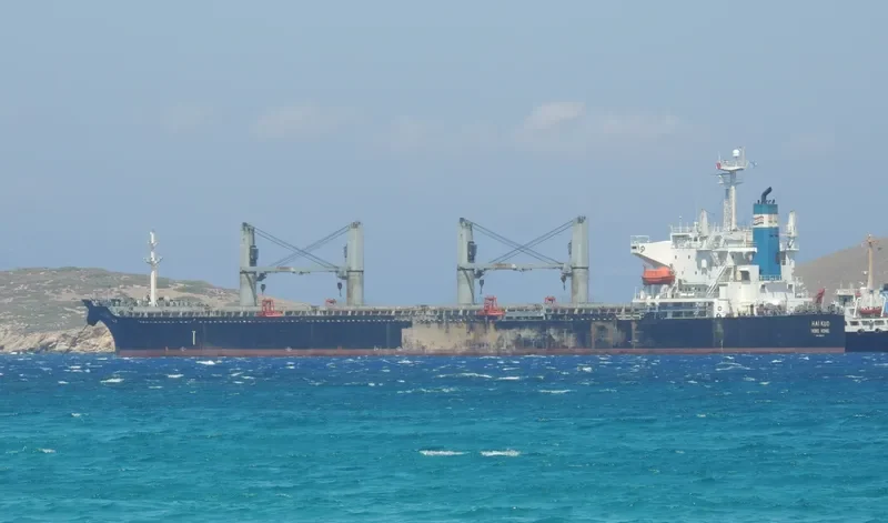JIN HANG FU ZHAN Bulk Carrier IMO 9316218 photo 6
