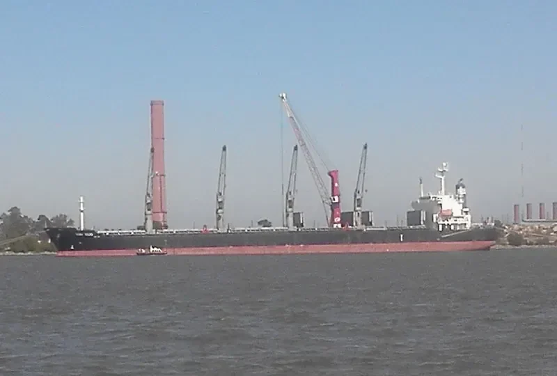JIN HANG FU ZHAN Bulk Carrier IMO 9316218 photo 8