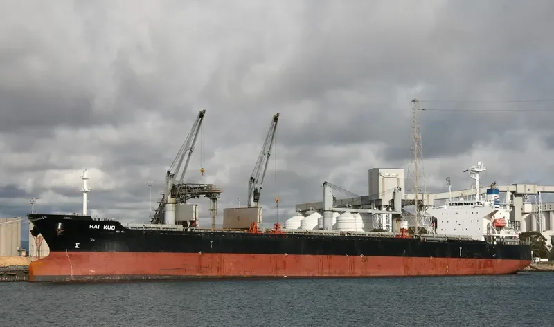 JIN HANG FU ZHAN Bulk Carrier IMO 9316218 photo 9