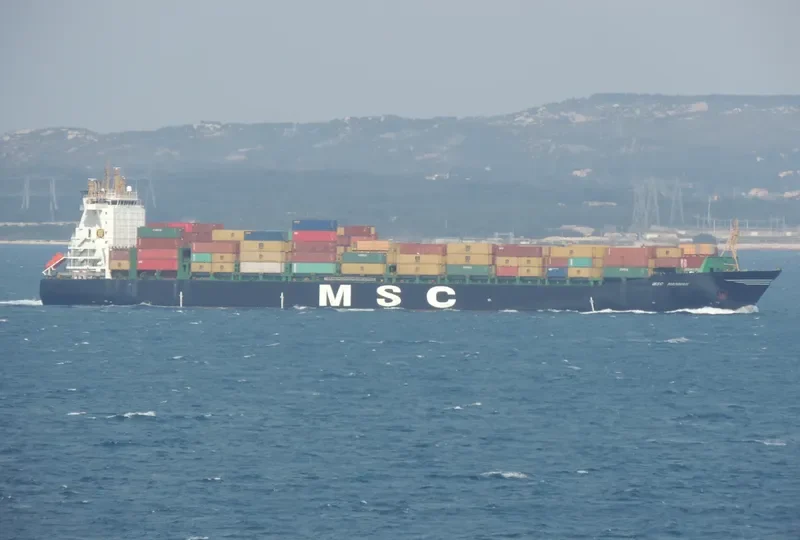 MSC HANNAH Container Ship IMO 9316347