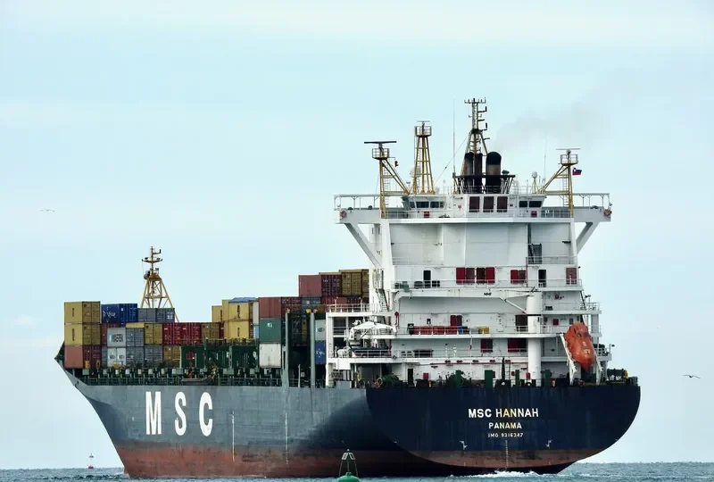 MSC HANNAH Container Ship IMO 9316347 photo 2