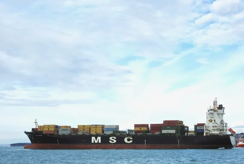 MSC HANNAH Container Ship IMO 9316347 photo 3