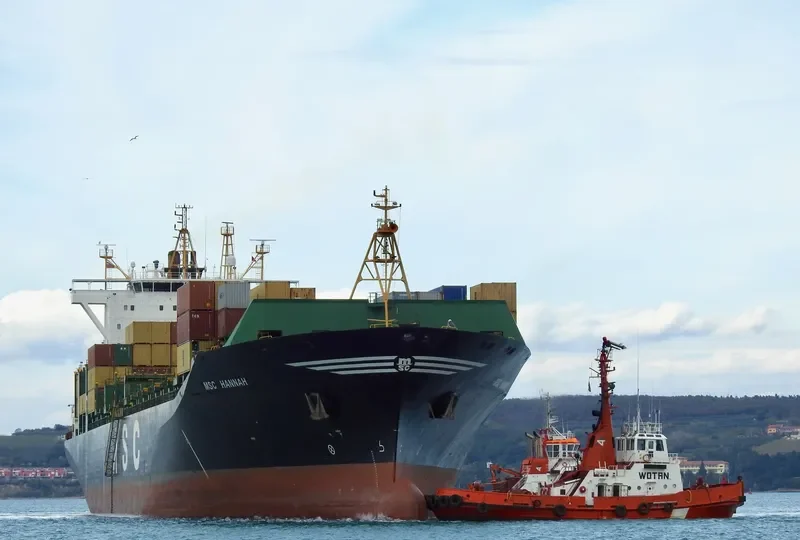MSC HANNAH Container Ship IMO 9316347 photo 4