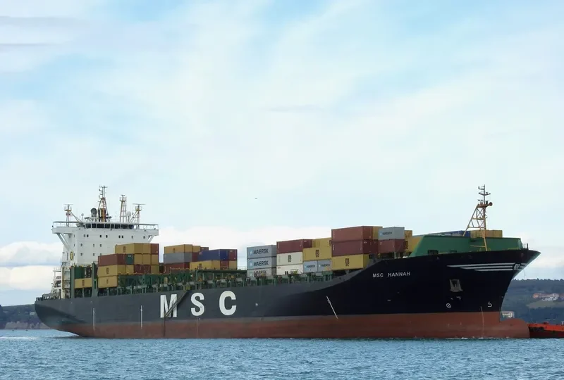 MSC HANNAH Container Ship IMO 9316347 photo 5