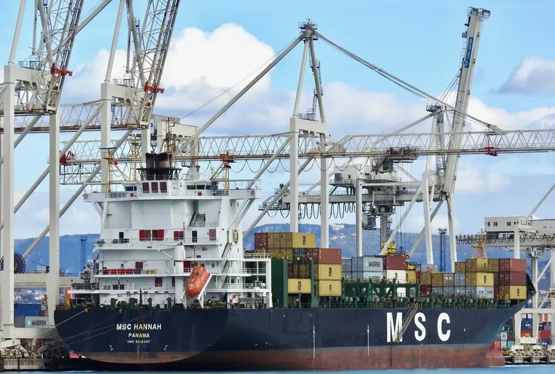 MSC HANNAH Container Ship IMO 9316347 photo 6