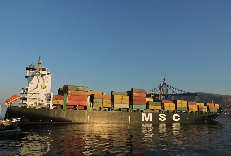MSC HANNAH Container Ship IMO 9316347 photo 7