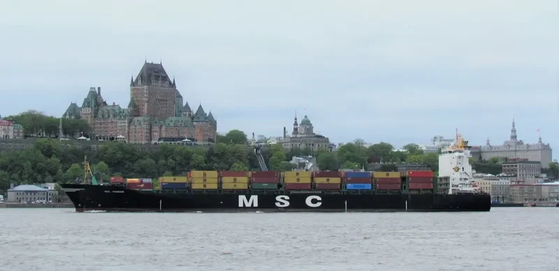 MSC HANNAH Container Ship IMO 9316347 photo 10