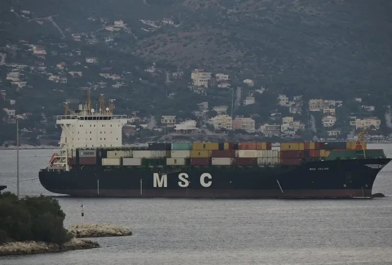 MSC CELINE Container Ship IMO 9316361 photo 3