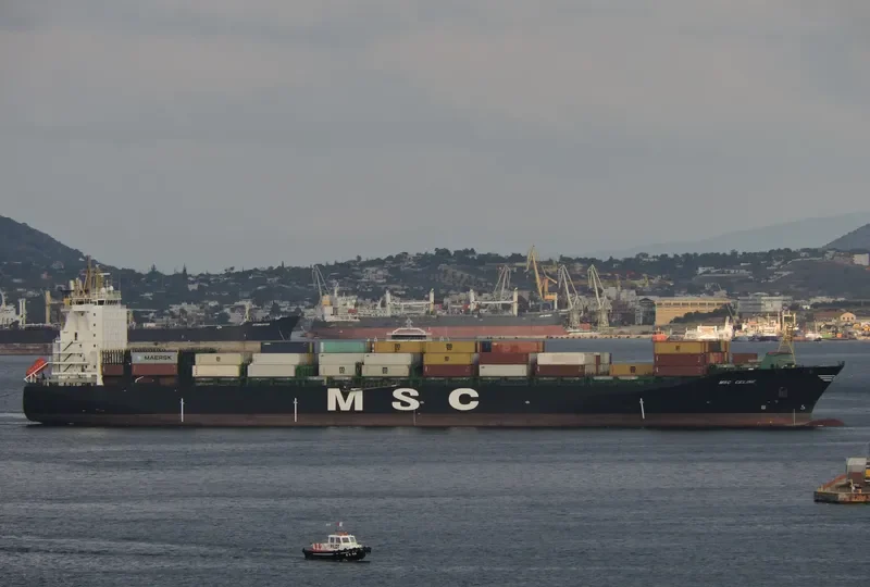 MSC CELINE Container Ship IMO 9316361 photo 4