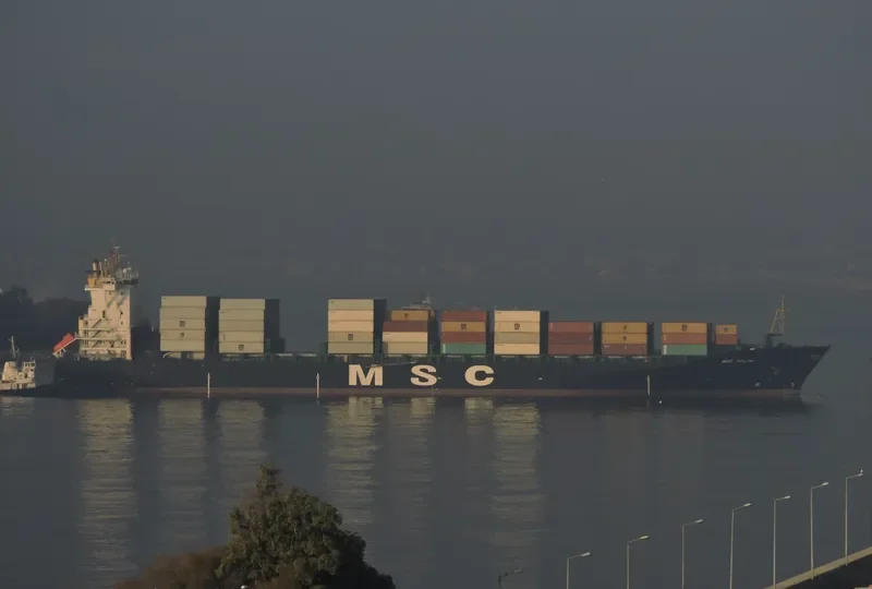 MSC CELINE Container Ship IMO 9316361 photo 6