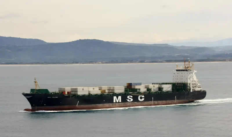 MSC CELINE Container Ship IMO 9316361 photo 8