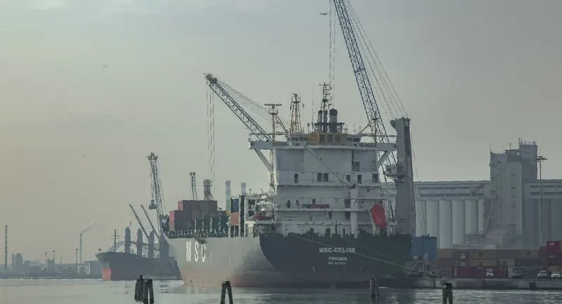 MSC CELINE Container Ship IMO 9316361 photo 10