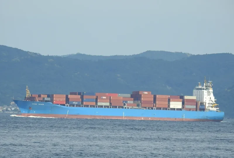 MSC TANIA Container Ship IMO 9316373