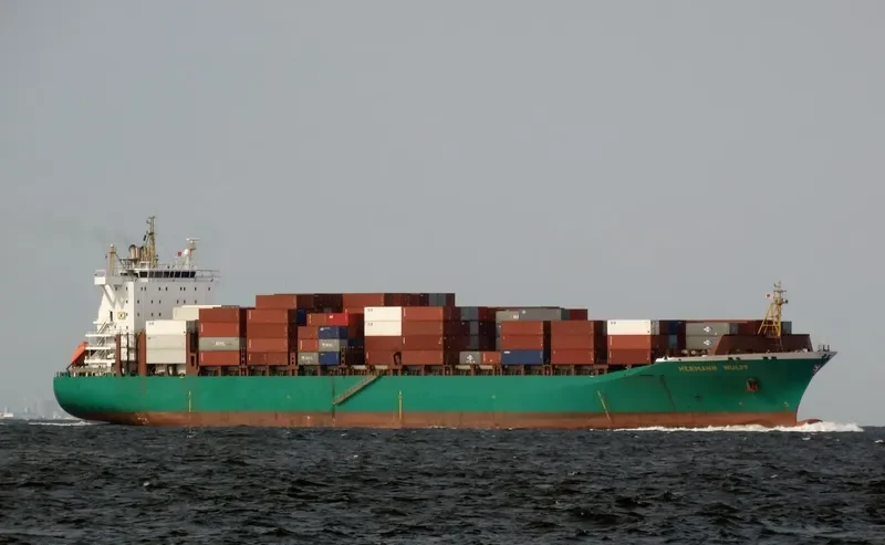 MSC TANIA Container Ship IMO 9316373 photo 2