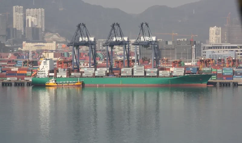 MSC TANIA Container Ship IMO 9316373 photo 4