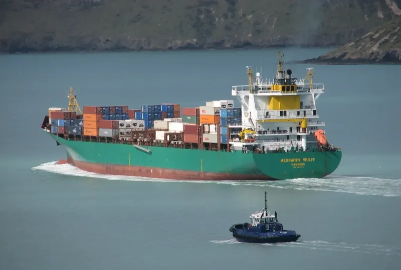 MSC TANIA Container Ship IMO 9316373 photo 5