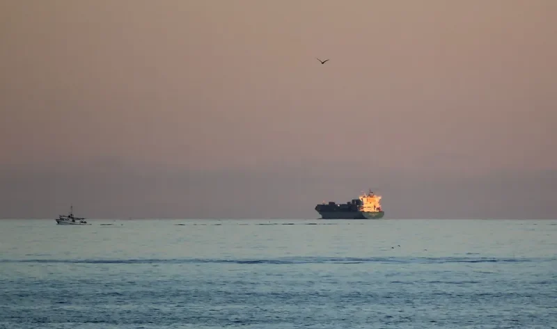 MSC TANIA Container Ship IMO 9316373 photo 9