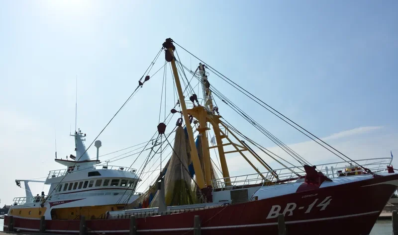 JOLISSA General Cargo IMO 9316438 photo 5