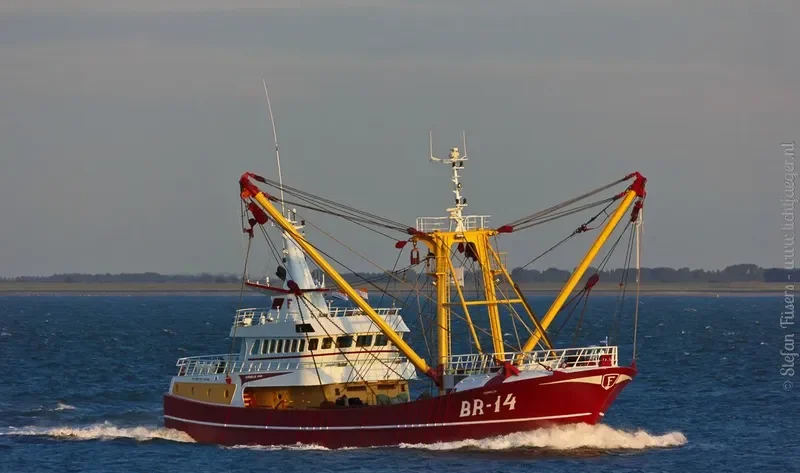 JOLISSA General Cargo IMO 9316438 photo 10