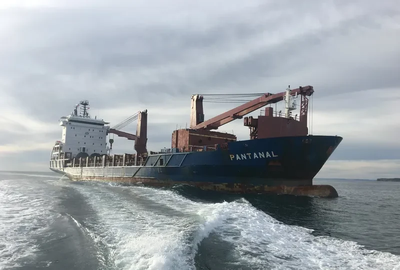 PANTANAL General Cargo IMO 9316579 photo 5
