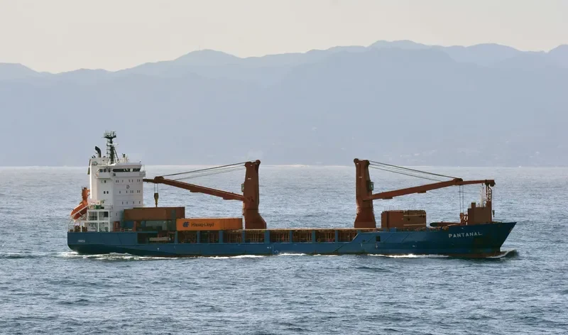 PANTANAL General Cargo IMO 9316579 photo 7