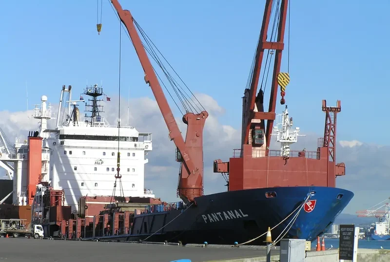 PANTANAL General Cargo IMO 9316579 photo 8