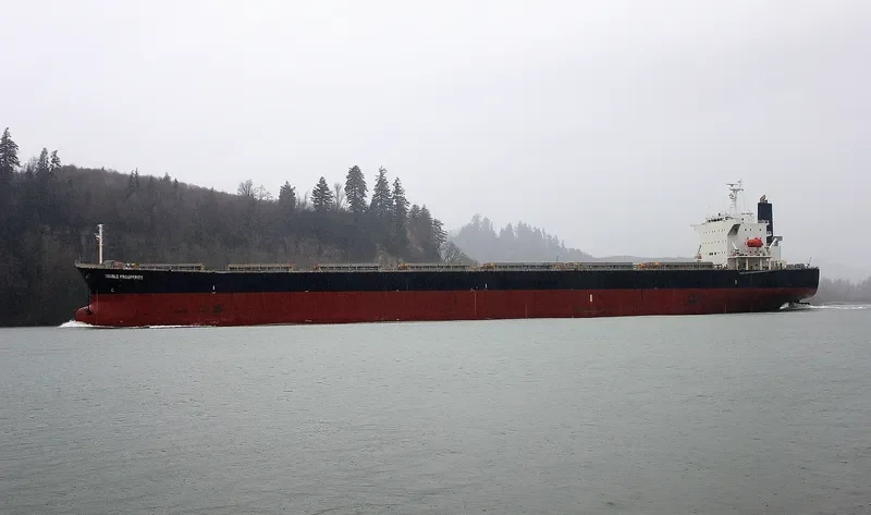 SHAIL AL WAJBAH Bulk Carrier IMO 9316658 photo 2