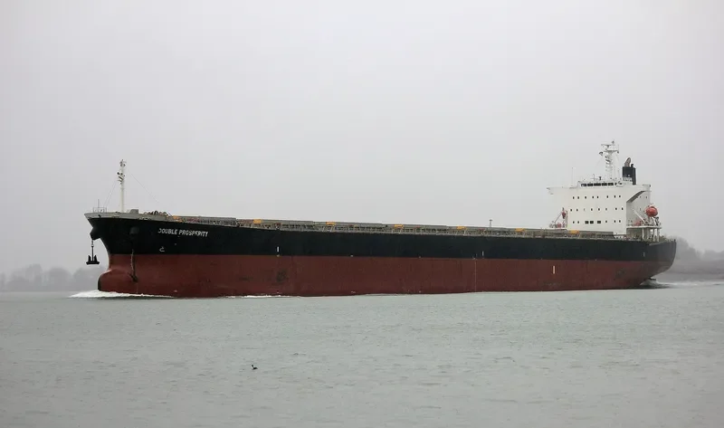 SHAIL AL WAJBAH Bulk Carrier IMO 9316658 photo 3